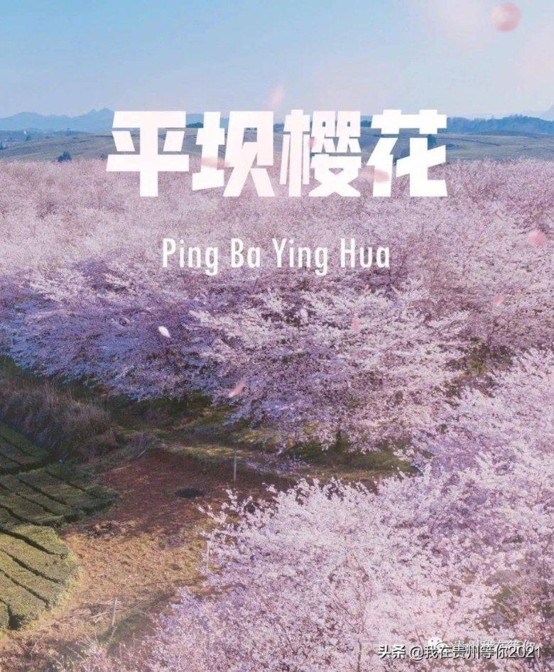 娄山观·2024贵州两会 |王立:深入推进“富矿金开”加快建设西南地区煤炭保供中心